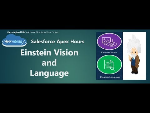 Einstein Vision and Language