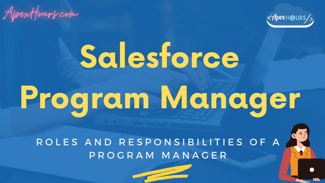 Salesforce Program Manager