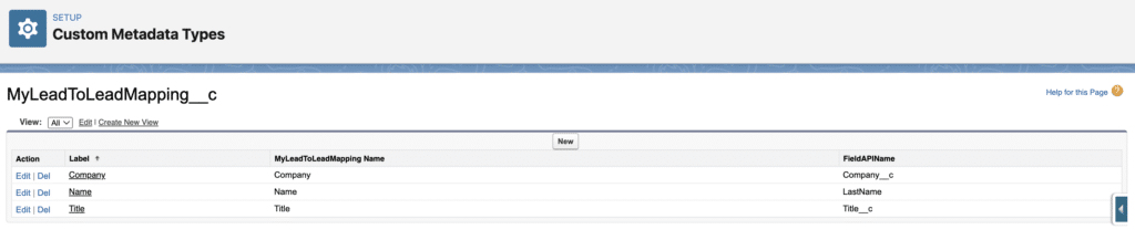 Custom metadata type for dynamic field mapping