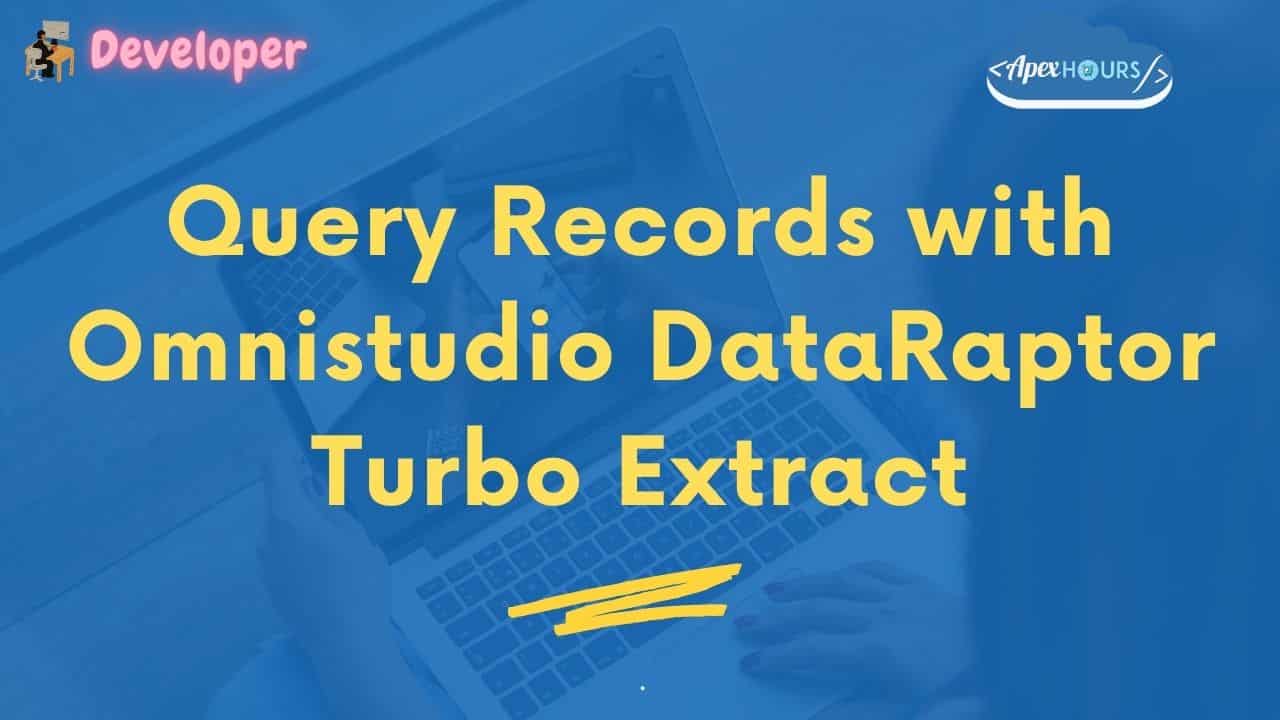 Query Records with Omnistudio DataRaptor Turbo Extract