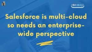 Salesforce is multi-cloud so needs an enterprise-wide perspective