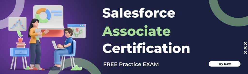 salesforce associate certification practice exam
