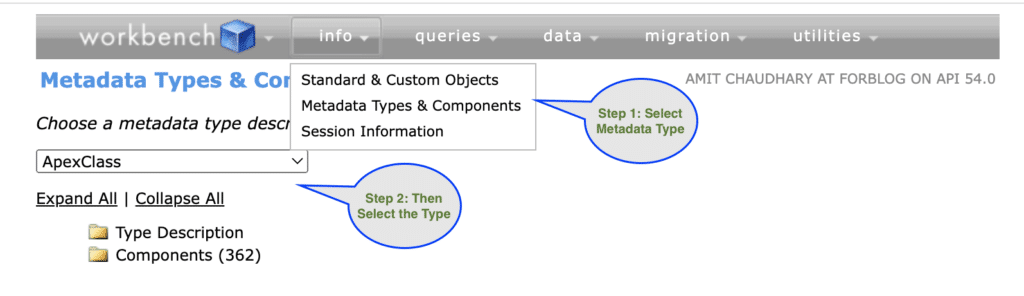Metadata Types & Components using Salesforce workbench