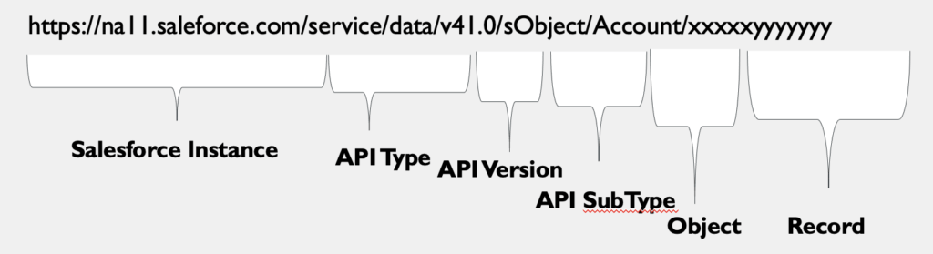 Anatomy of a REST API CALL