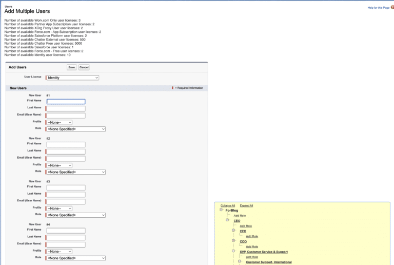 Salesforce User Management - Apex Hours