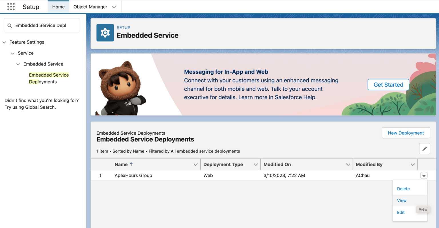 Salesforce Live Web Chat Apex Hours