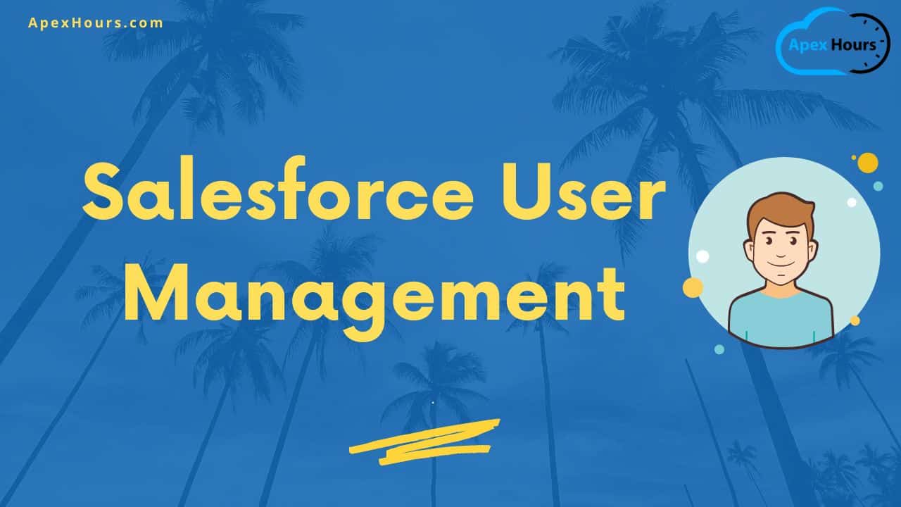 Salesforce User Management
