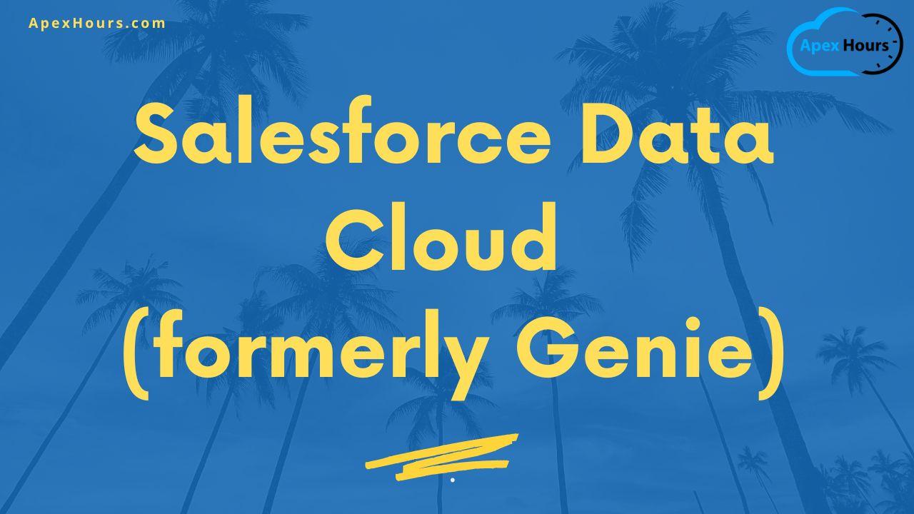 Salesforce Data Cloud ( formerly Genie )