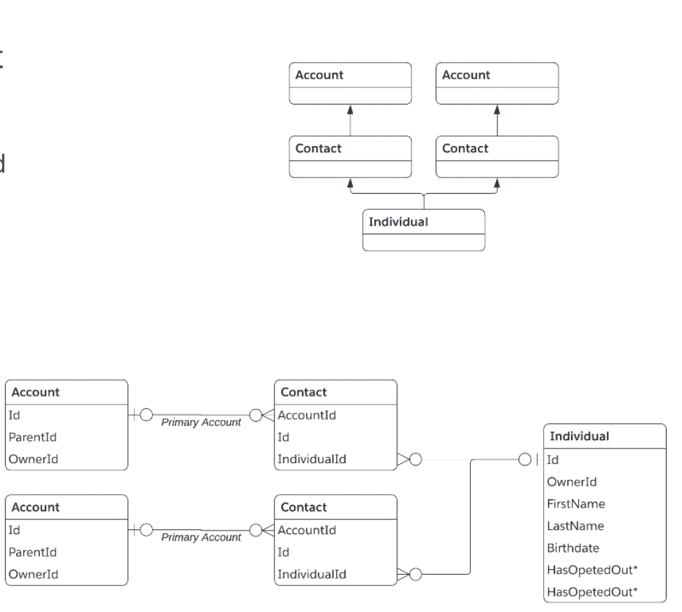 Salesforce Individual Object