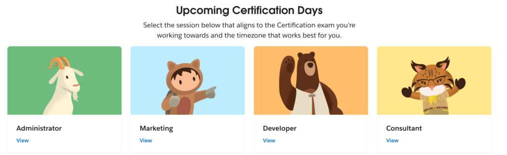 Salesforce Certification Days
