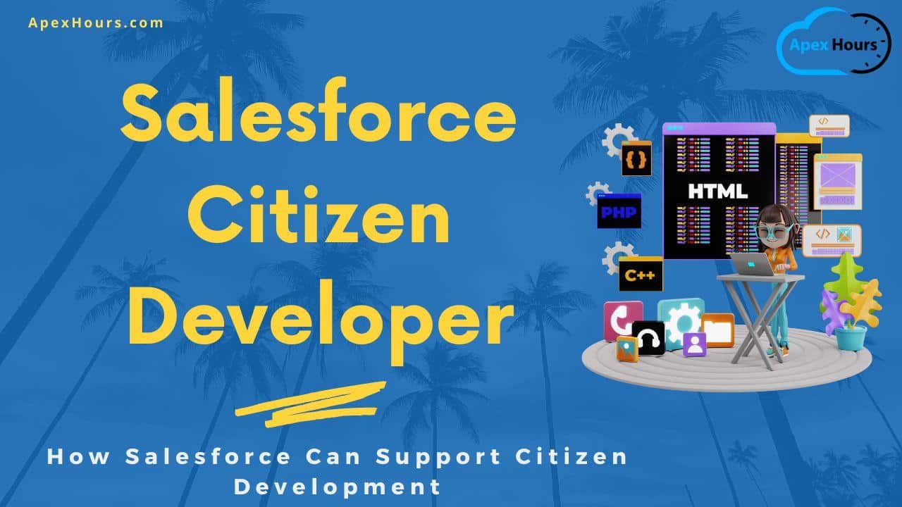 Salesforce Citizen Development
