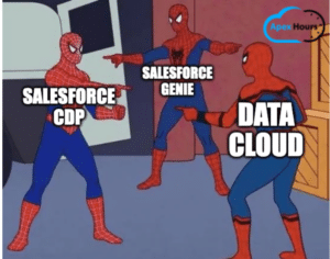 Salesforce Data Cloud Vs Salesforce CDP and GENIES