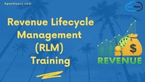 export lead assignment rules Revenue Lifecycle Management (RLM) Training