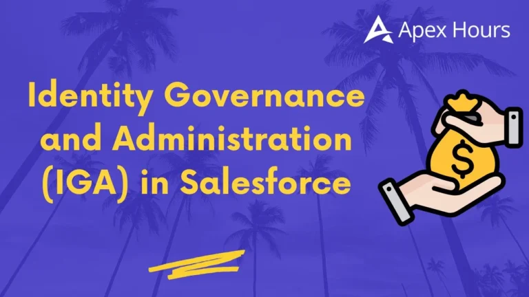 Identity Governance and Administration (IGA) in Salesforce