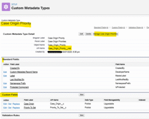 Flow with Metadata Type - Apex Hours